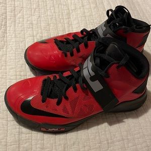 Lebron James Nike basketball shoes